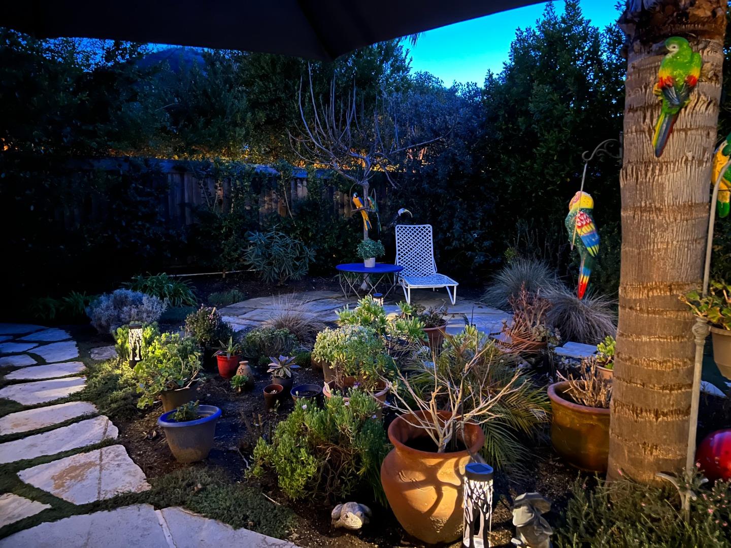 7683 Braid Court Gilroy, CA 95020 - Photo 68 of 69 a view of a potted flower in a garden
