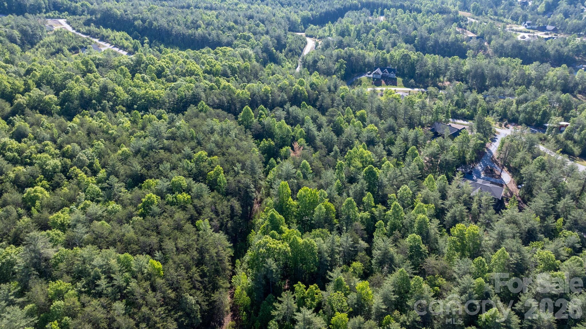 3030 Channel View Cove Morganton, NC 28655 - Photo 13 of 25