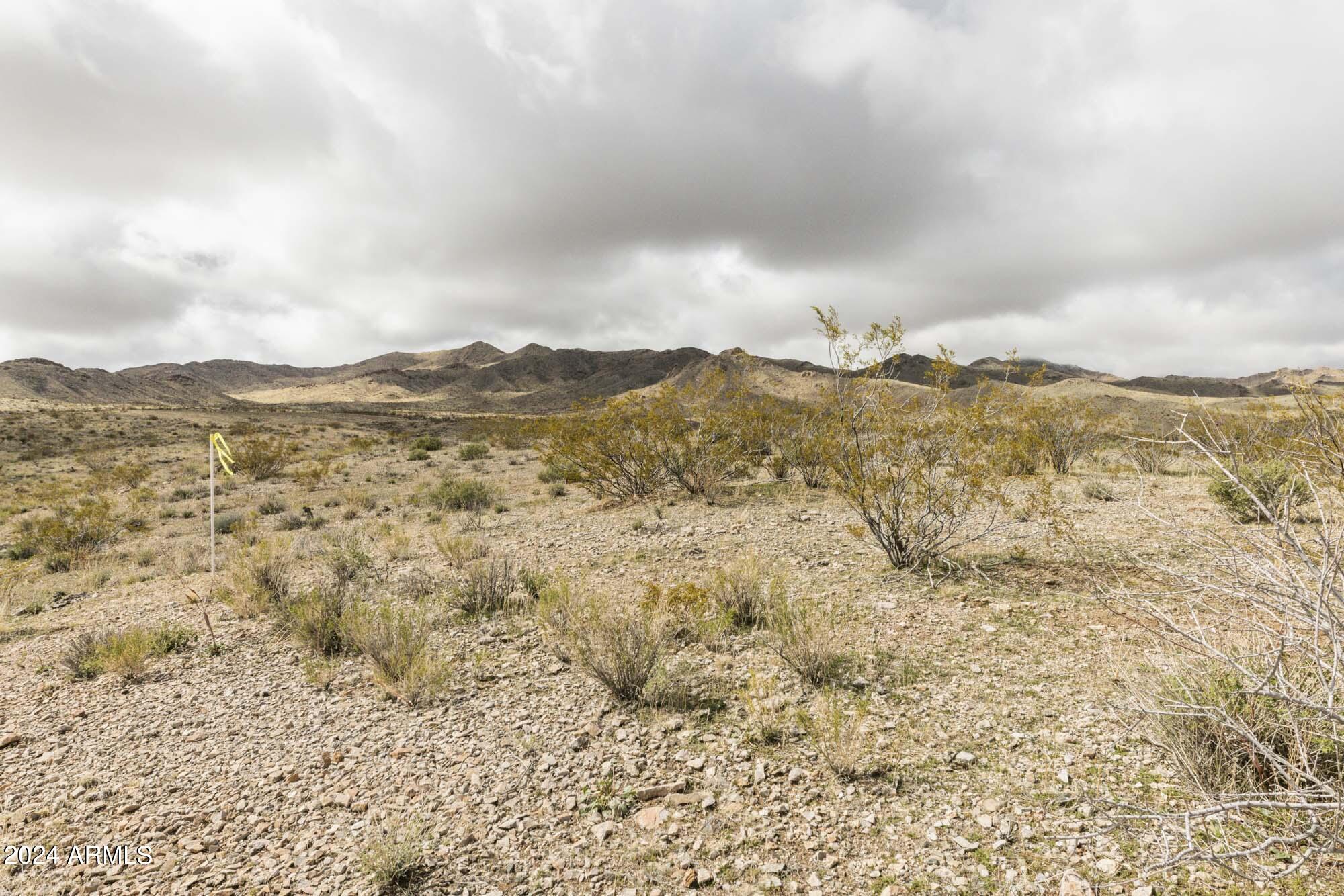 14380 North Quintana Road, Unit 27 Dolan Springs, AZ 86441 - Photo 19 of 40 IMG_5831