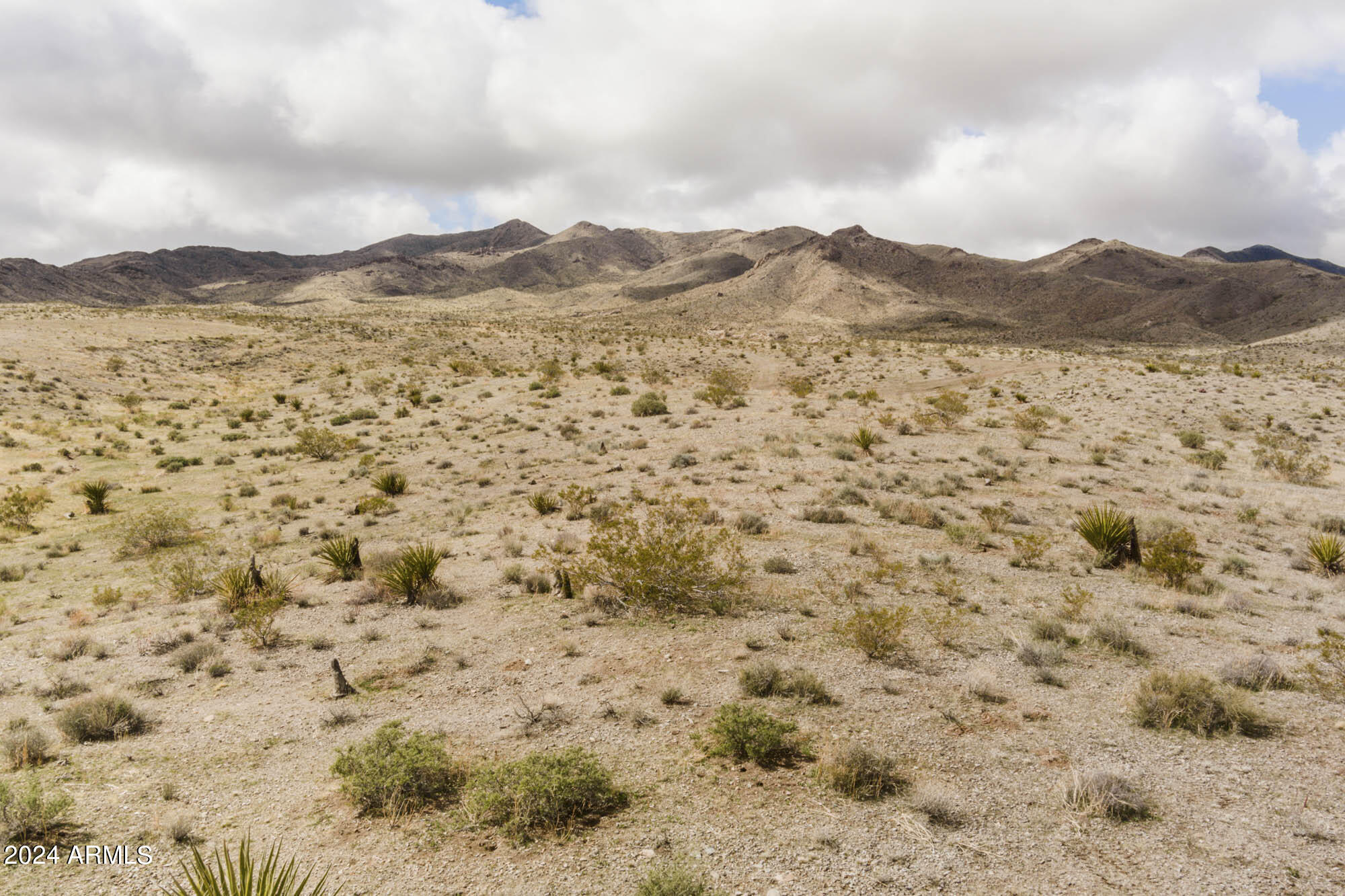 14380 North Quintana Road, Unit 27 Dolan Springs, AZ 86441 - Photo 2 of 40 MAX_0033