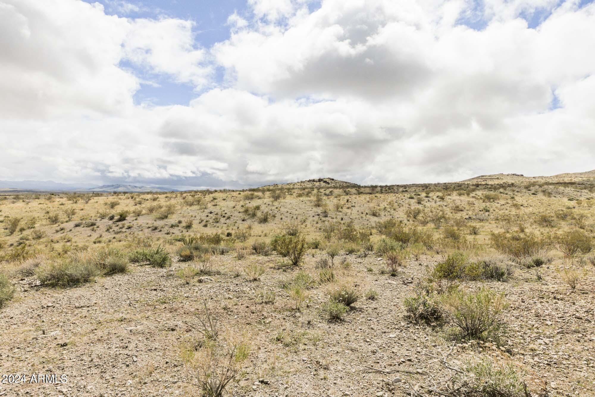 14380 North Quintana Road, Unit 27 Dolan Springs, AZ 86441 - Photo 21 of 40 IMG_5841