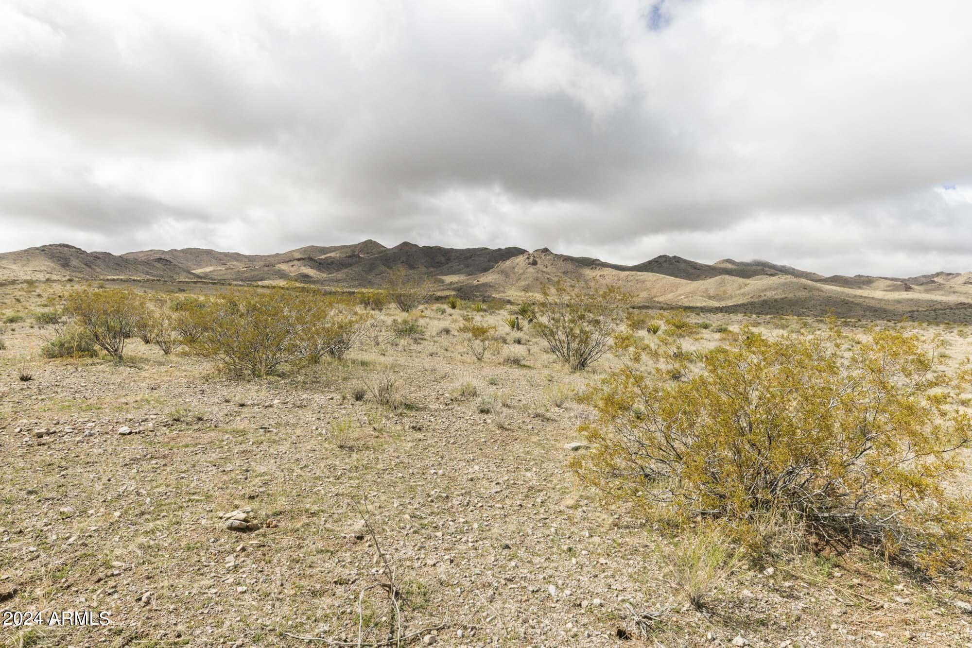 14380 North Quintana Road, Unit 27 Dolan Springs, AZ 86441 - Photo 23 of 40 IMG_5856