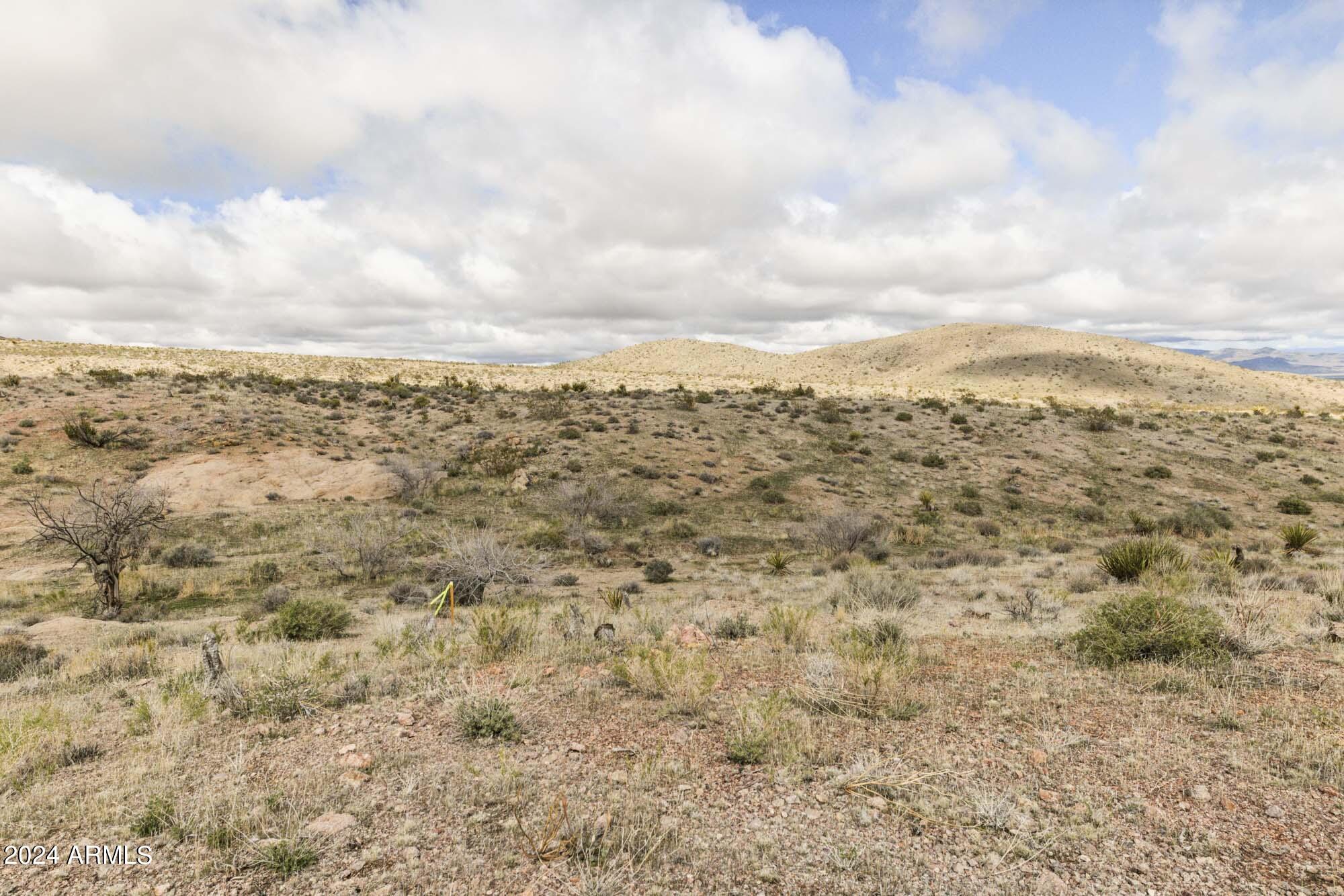 14380 North Quintana Road, Unit 27 Dolan Springs, AZ 86441 - Photo 24 of 40 IMG_5861