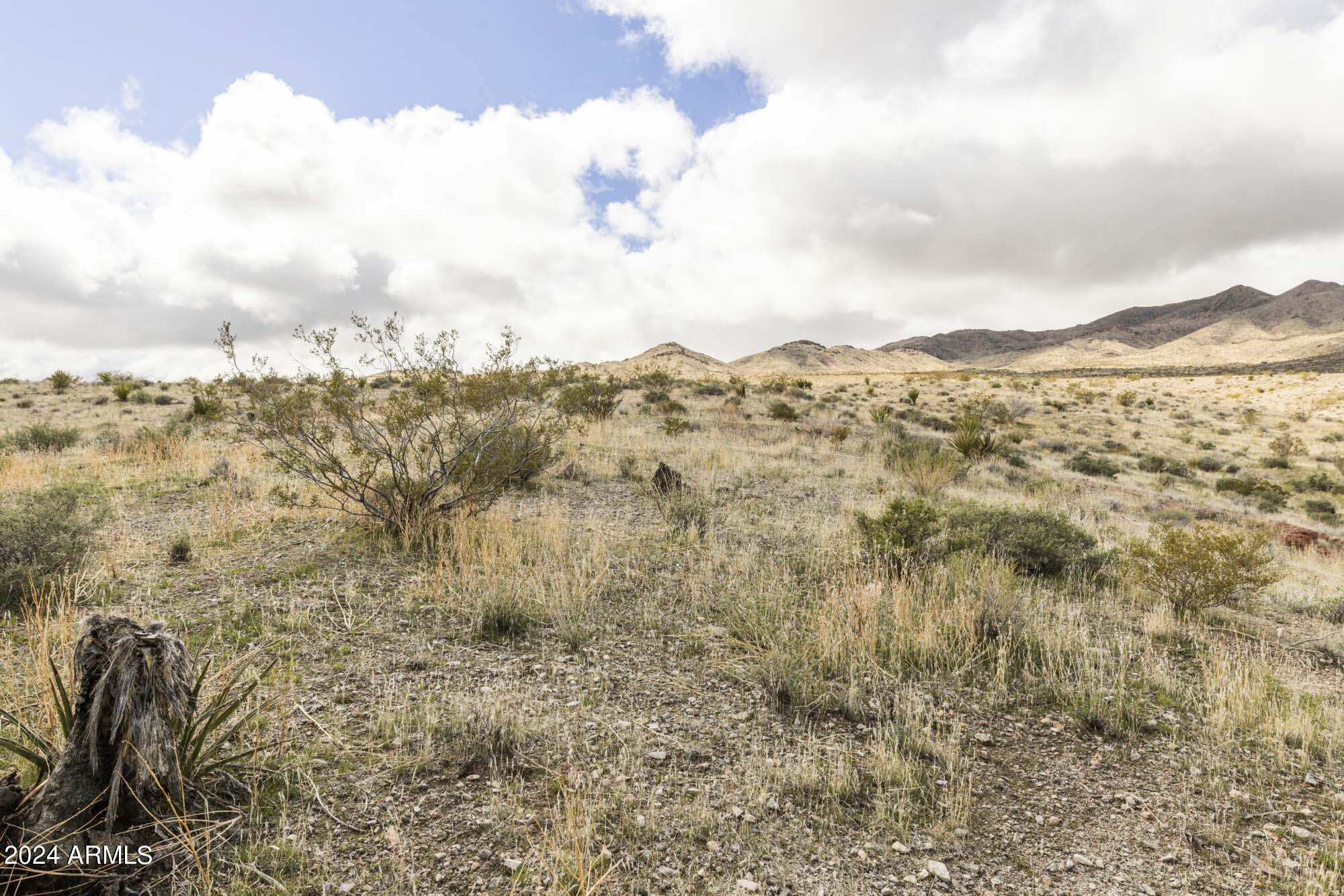 14380 North Quintana Road, Unit 27 Dolan Springs, AZ 86441 - Photo 3 of 40 IMG_5866