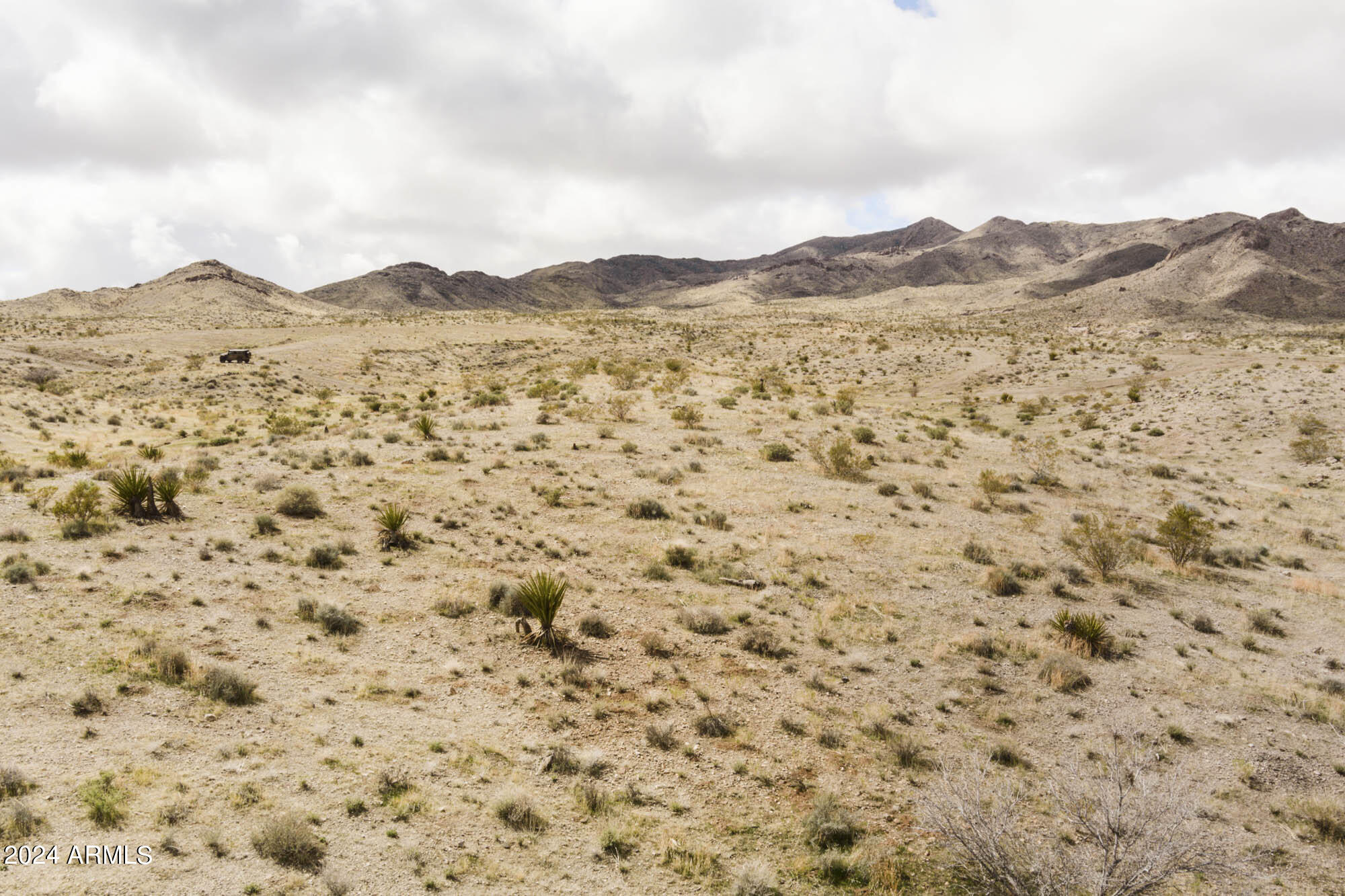 14380 North Quintana Road, Unit 27 Dolan Springs, AZ 86441 - Photo 6 of 40 MAX_0038