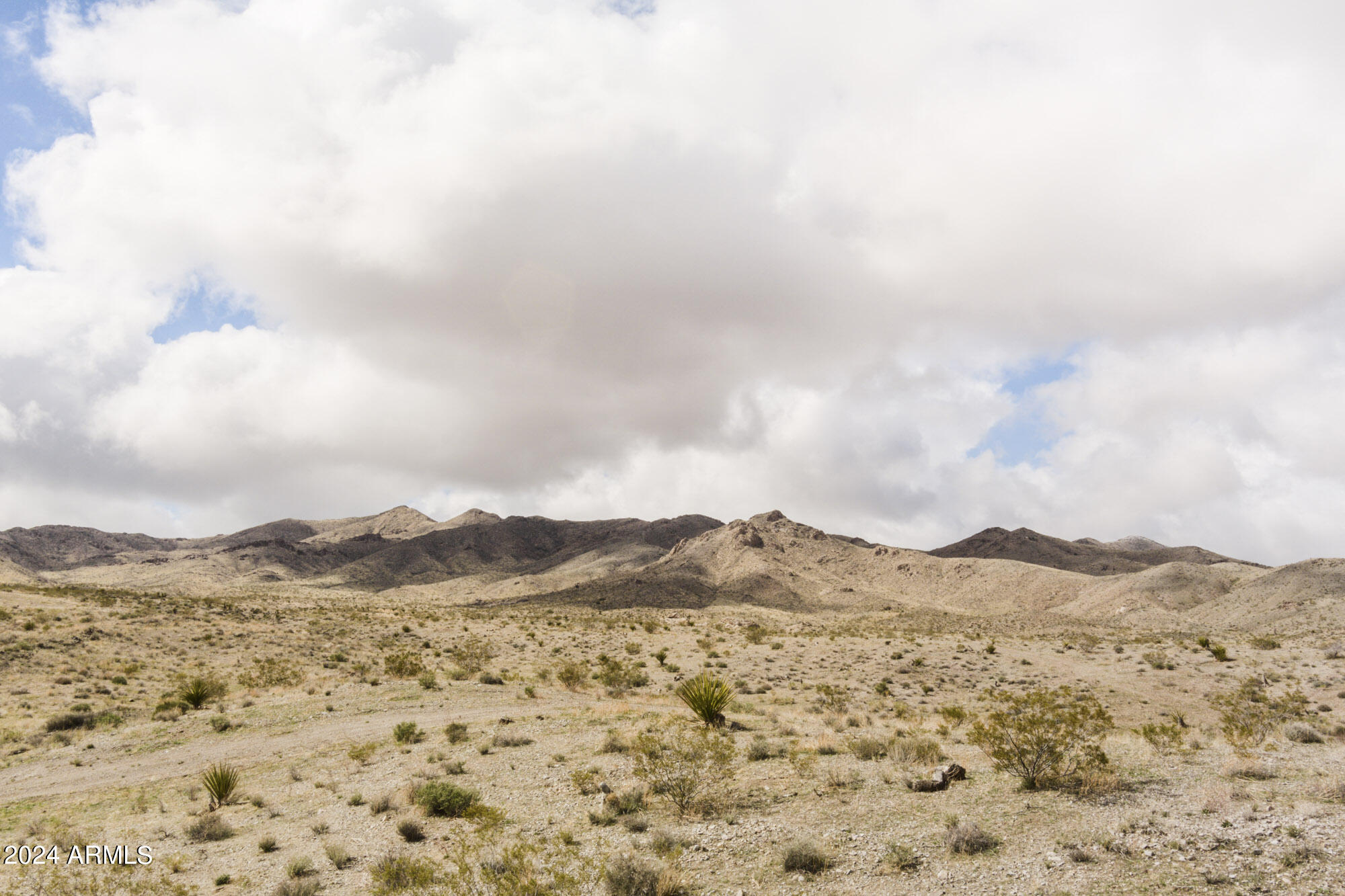 14380 North Quintana Road, Unit 27 Dolan Springs, AZ 86441 - Photo 7 of 40 MAX_0068