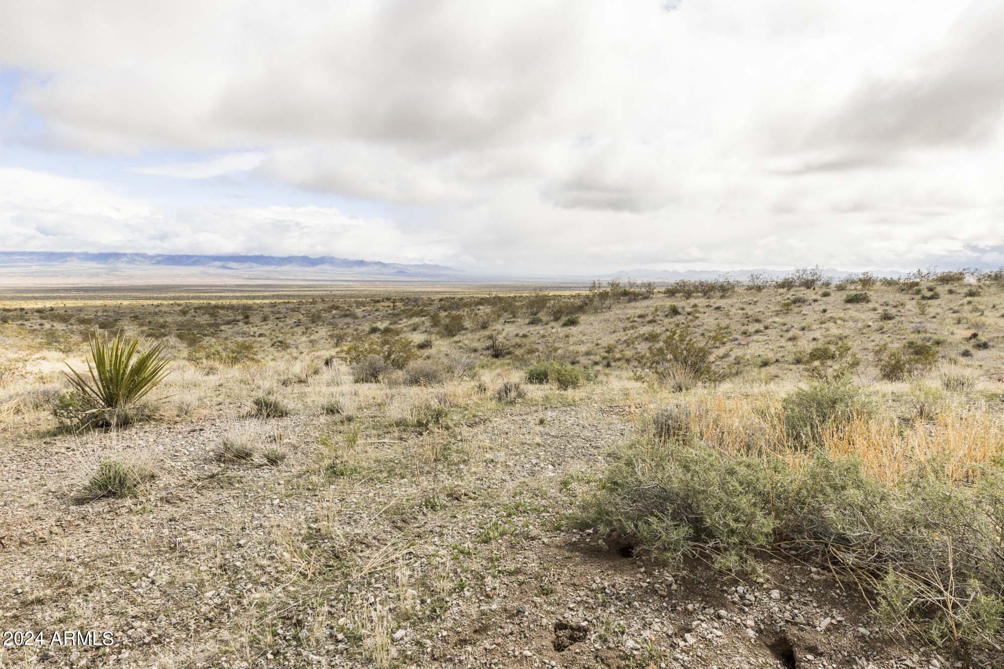 14380 North Quintana Road, Unit 27 Dolan Springs, AZ 86441 - Photo 9 of 40 IMG_5871