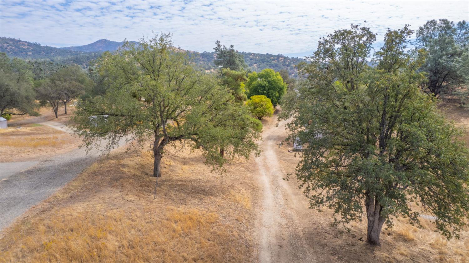29531 Morgan Canyon Road Prather, CA 93651 - Photo 22 of 42 a view of a yard with a tree