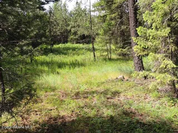 $315,000 | Nka Antler Lane, Spirit Lake, ID 83869