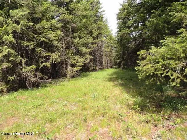 $315,000 | Nka Antler Lane, Spirit Lake, ID 83869