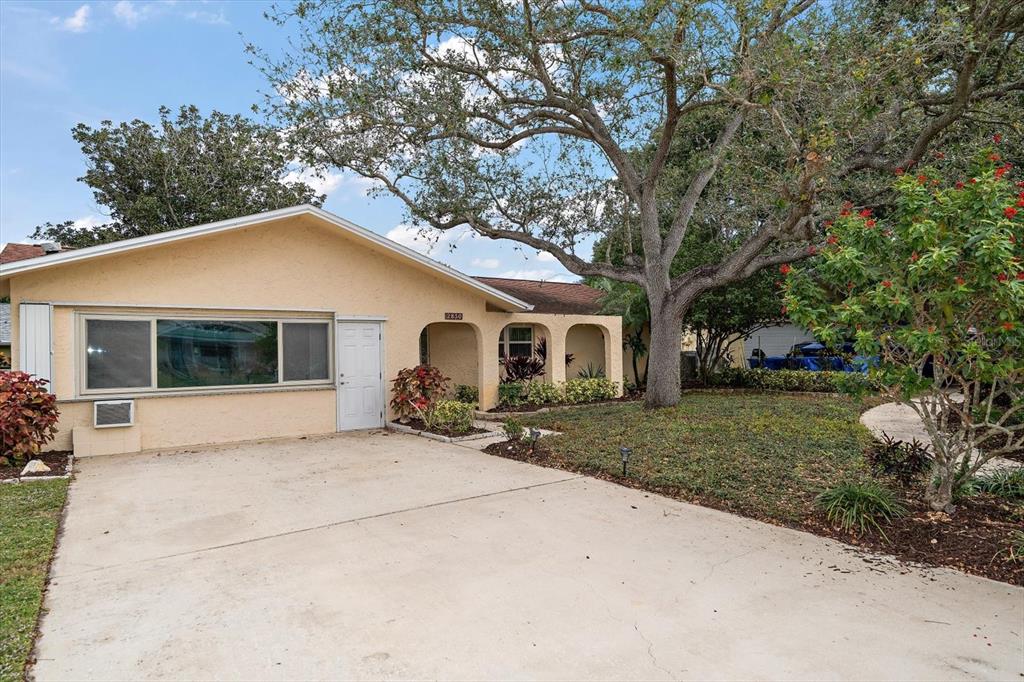 2850 Spring Lake Drive Clearwater, FL 33759 - Photo 36 of 37 a view of a house with backyard and garden