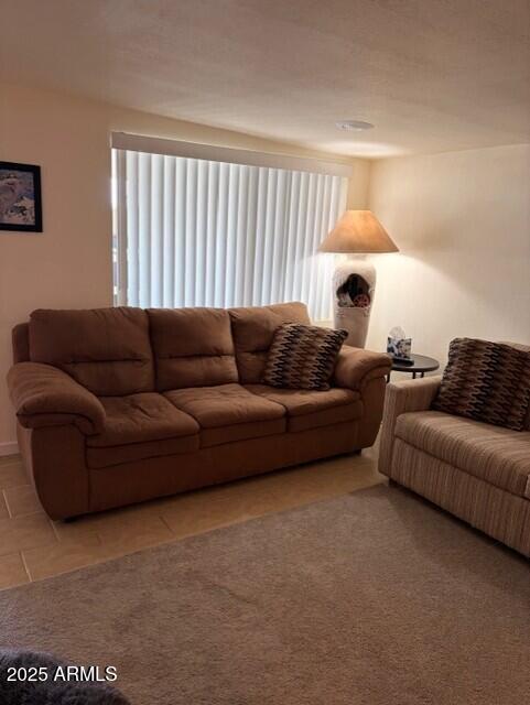702 South Meridian Road, Unit 658 Apache Junction, AZ 85120 - Photo 5 of 17 AZ Room Sofa #658