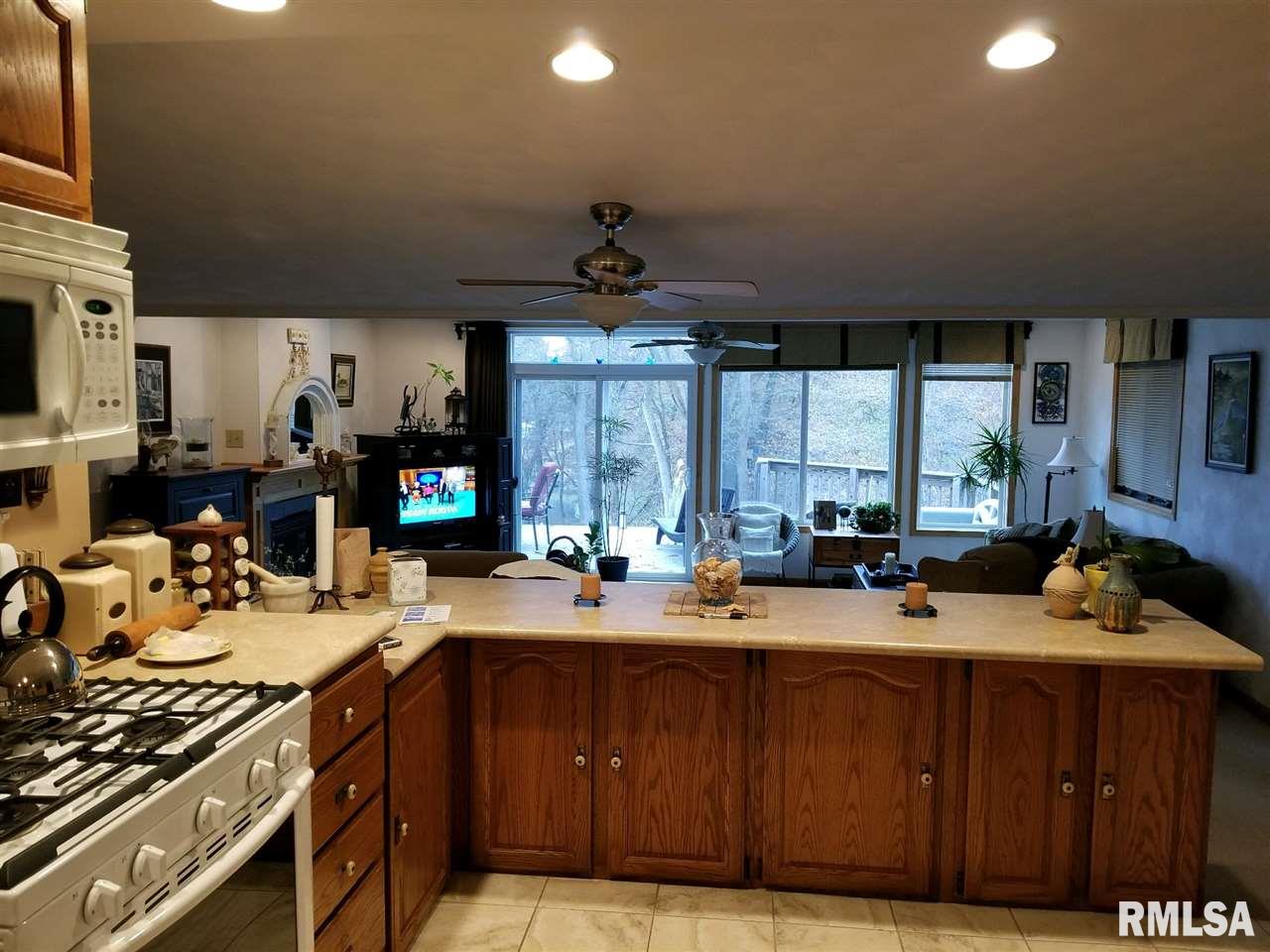 25990 North Dal Bar Road Canton, IL 61520 - Photo 8 of 36
