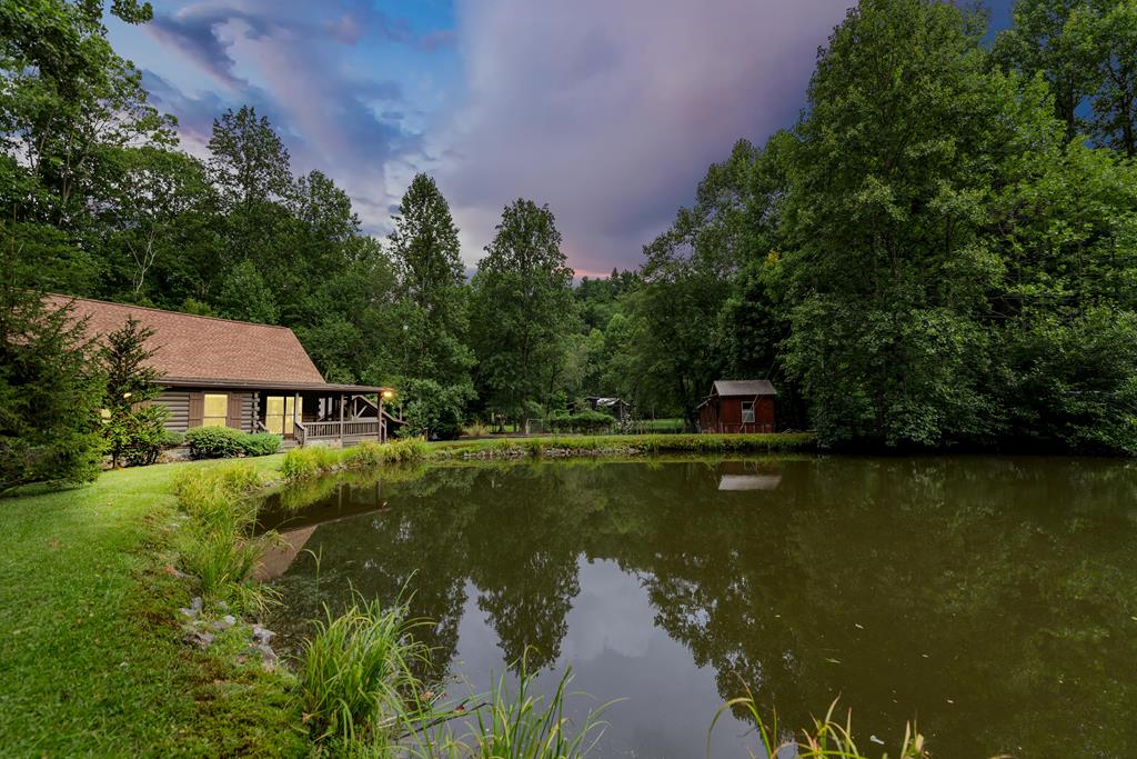 151 Olivers Pond Road Cherry Log, GA 30522 - Photo 3 of 57 Gallery Image 3
