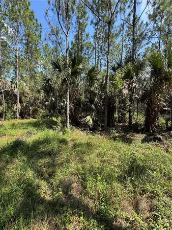 $950,000 | 4300 Justa Road, Mims, FL 32754