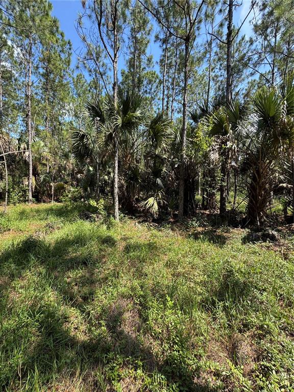 4300 Justa Road Mims, FL 32754 - Photo 13 of 61 a view of outdoor space and yard
