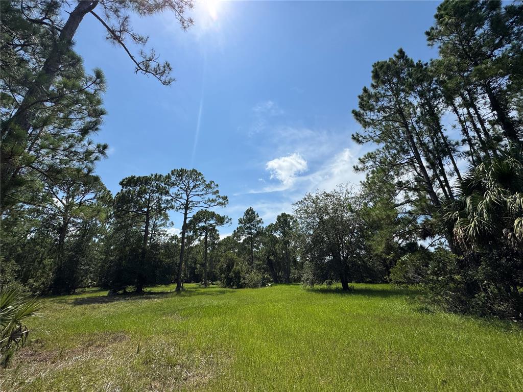 4300 Justa Road Mims, FL 32754 - Photo 14 of 61 a big yard with lots of tress in it