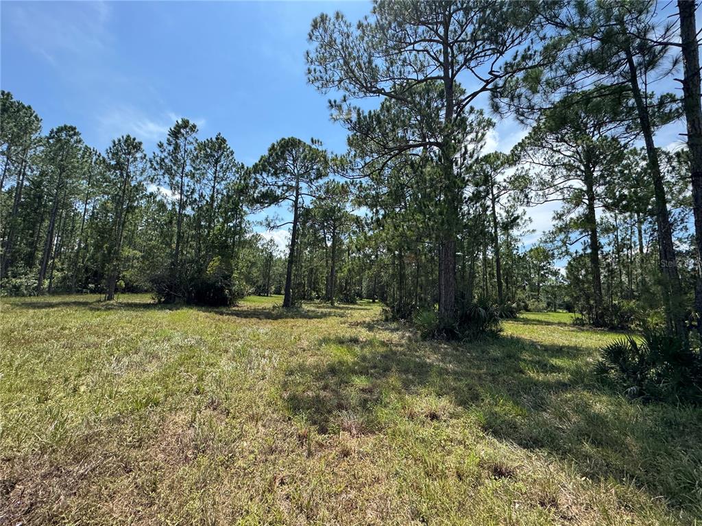 4300 Justa Road Mims, FL 32754 - Photo 15 of 61 a view of a yard with trees