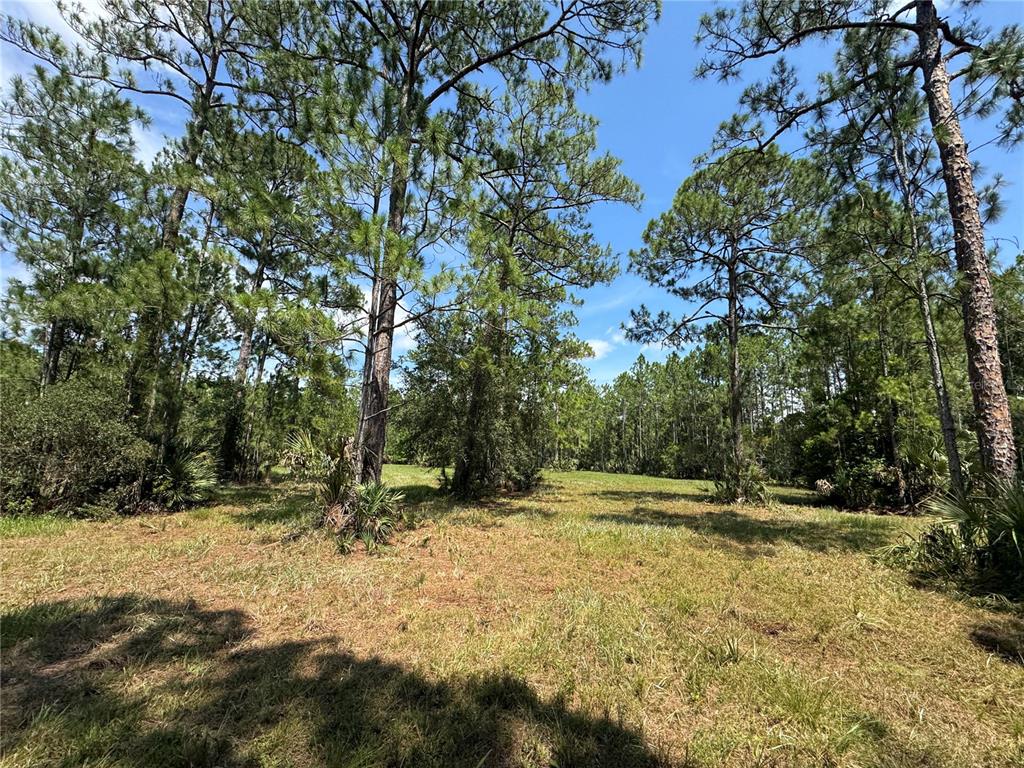 4300 Justa Road Mims, FL 32754 - Photo 17 of 61 a view of outdoor space with trees all around