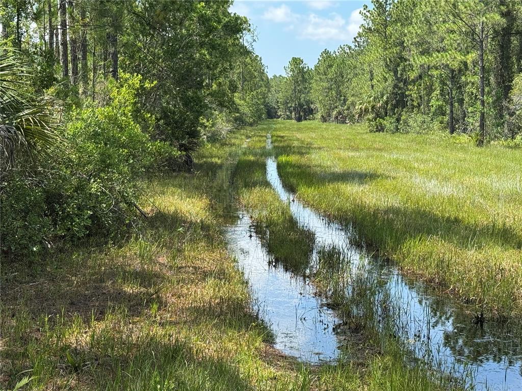 4300 Justa Road Mims, FL 32754 - Photo 25 of 61 a view of a lake with a yard