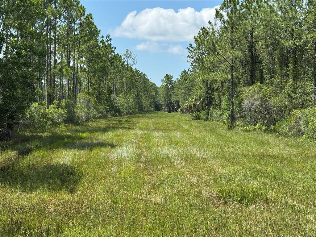 4300 Justa Road Mims, FL 32754 - Photo 26 of 61 a view of a lake with a yard