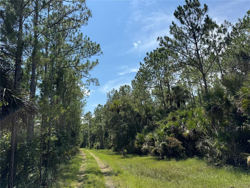 4300 Justa Road Mims, FL 32754 - Photo 27 of 61 a view of outdoor space