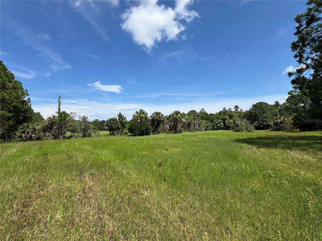 4300 Justa Road Mims, FL 32754 - Photo 3 of 61 a view of a grassy field with trees