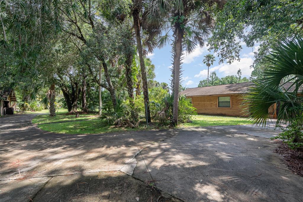4300 Justa Road Mims, FL 32754 - Photo 48 of 61 a view of a yard with plants and trees