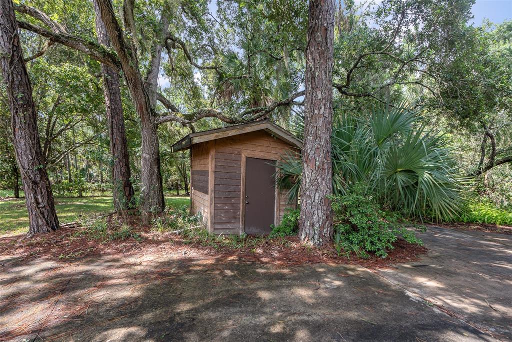 4300 Justa Road Mims, FL 32754 - Photo 49 of 61 a view of a house with large trees and plants