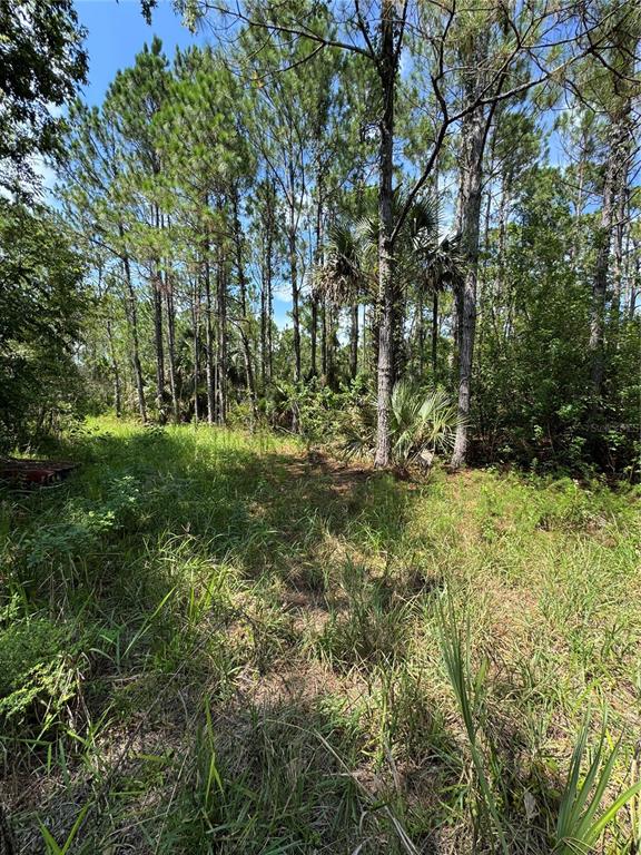 4300 Justa Road Mims, FL 32754 - Photo 7 of 61 a view of outdoor space
