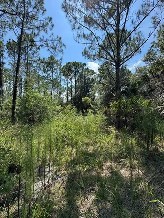 $950,000 | 4300 Justa Road, Mims, FL 32754