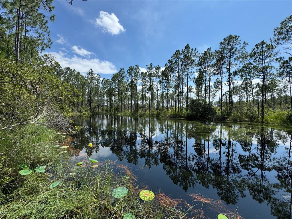 4300 Justa Road Mims, FL 32754 - Photo 9 of 61 a view of lake