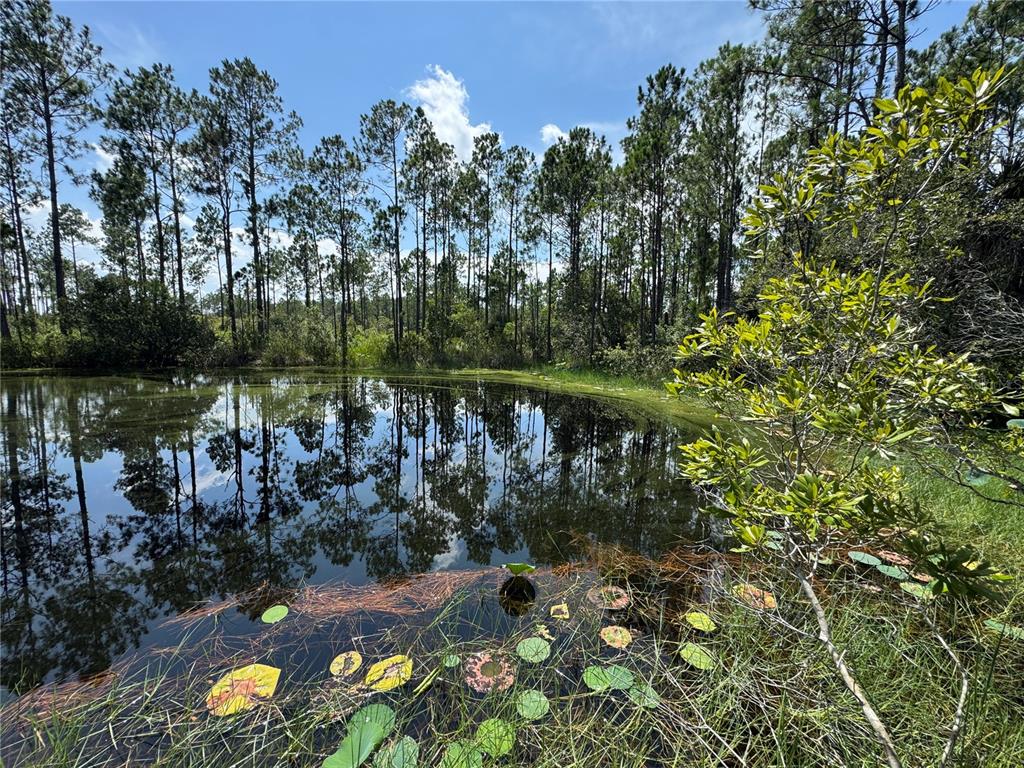 4300 Justa Road Mims, FL 32754 - Photo 10 of 61 a view of a lake in between two of trees