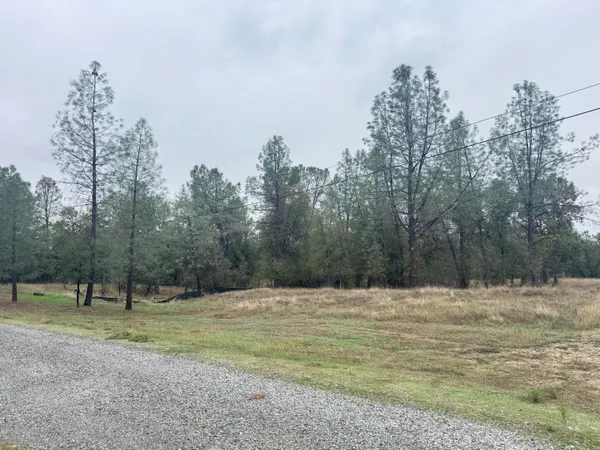 a view of outdoor space with trees
