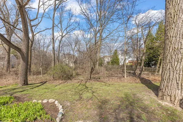 a view of a yard with trees