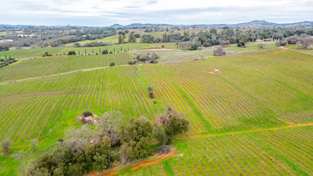 $1,249,000 | 19944 Shenandoah School Road, Plymouth, CA 95669