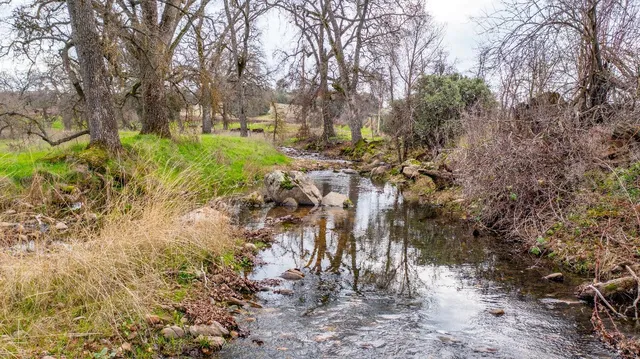 a view of a yard with large trees