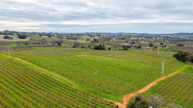 a view of a field with an ocean