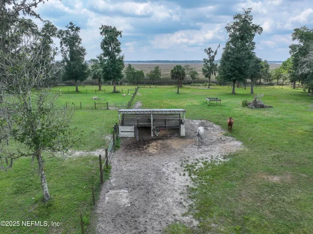 a view of a park with large trees