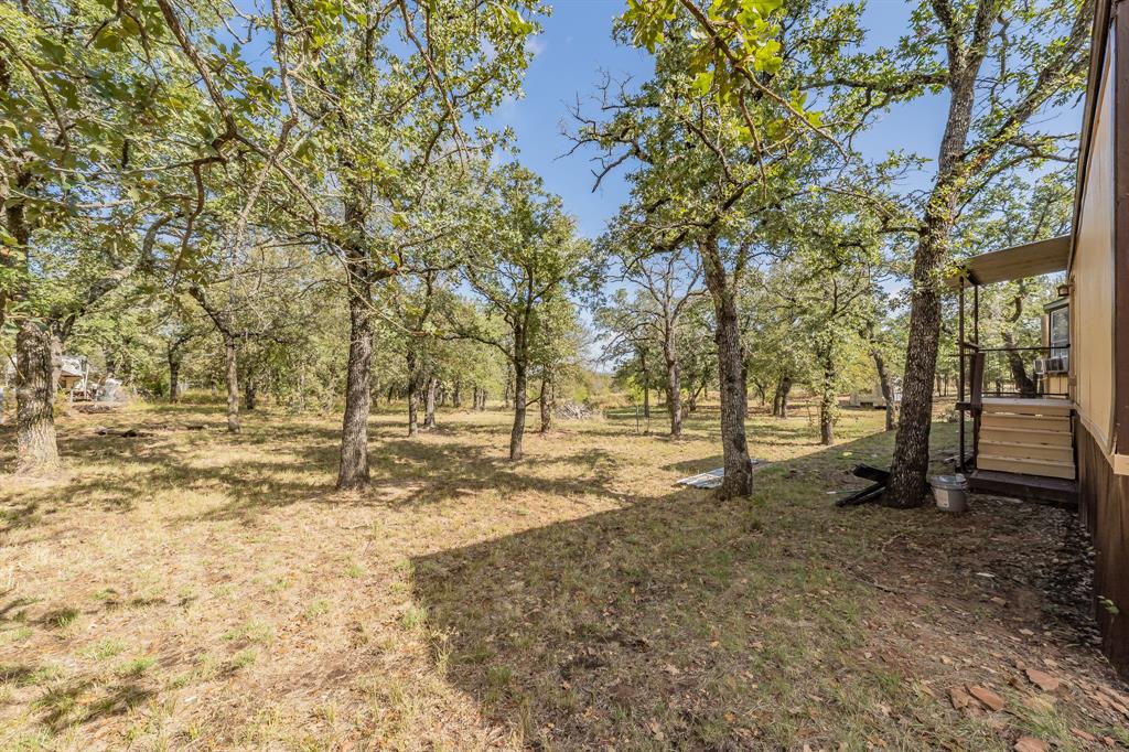 417 Wood River Road Millsap, TX 76066 - Photo 20 of 40 a view of a yard with trees
