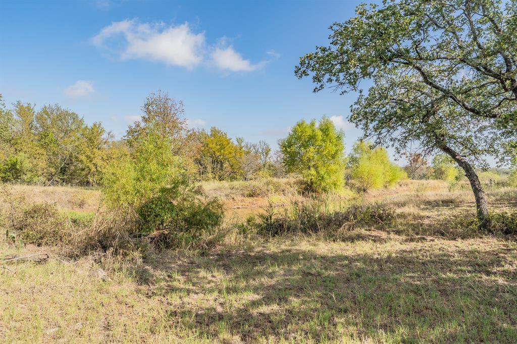 417 Wood River Road Millsap, TX 76066 - Photo 21 of 40 a view of beach and yard