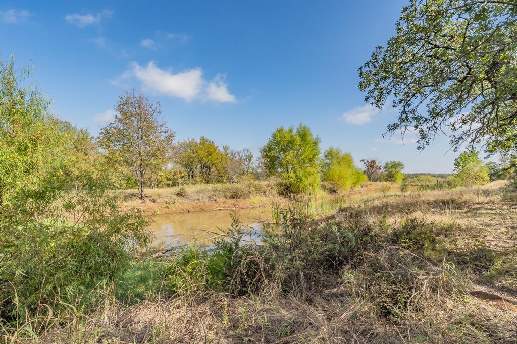 417 Wood River Road Millsap, TX 76066 - Photo 22 of 40 a view of a yard with a tree