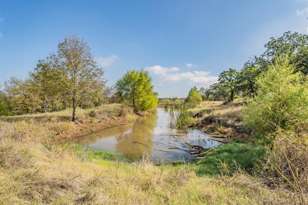 417 Wood River Road Millsap, TX 76066 - Photo 23 of 40 a view of a yard with trees