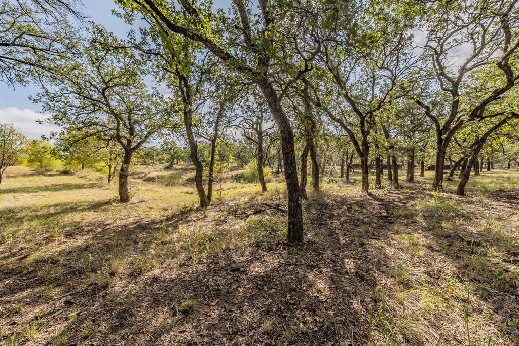 417 Wood River Road Millsap, TX 76066 - Photo 25 of 40 a view of outdoor space with trees