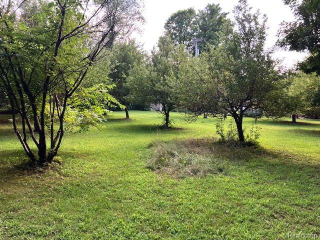 8084 Jordan Road Yale, MI 48097 - Photo 6 of 22