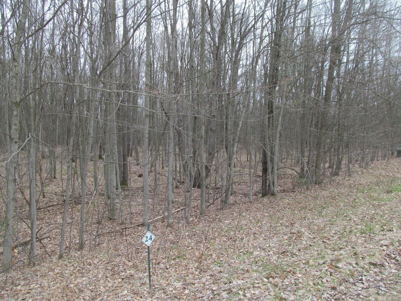 Lot 24 River Wood Road, Unit RIVER WOODS ESTATES #2 LO Lake City, MI 49651 - Photo 2 of 6