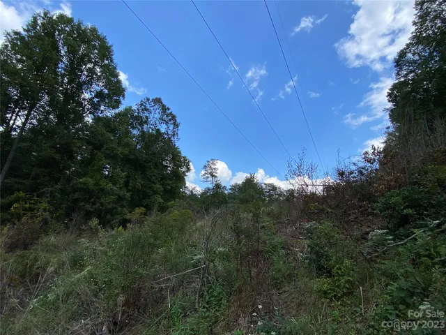 $217,800 | 0 Screech Owl Drive, Candler, NC 28715