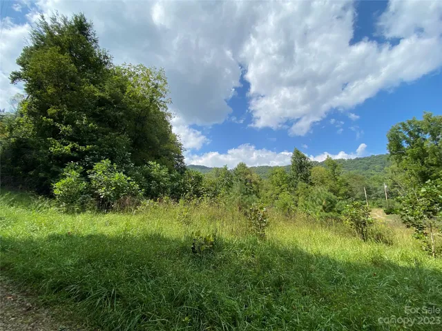 $217,800 | 0 Screech Owl Drive, Candler, NC 28715