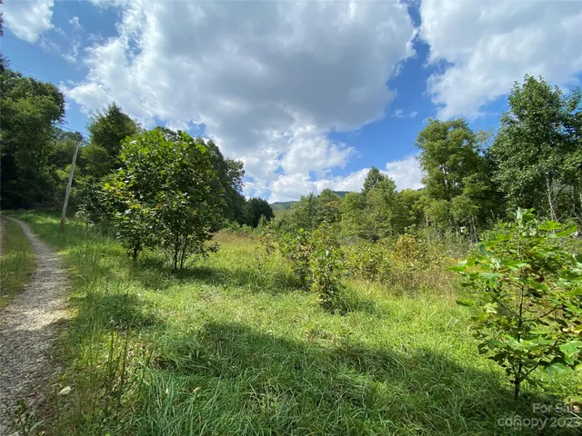 $217,800 | 0 Screech Owl Drive, Candler, NC 28715