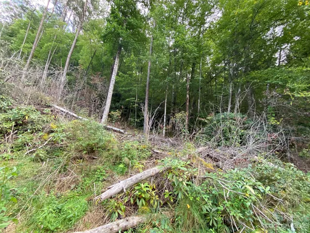 $217,800 | 0 Screech Owl Drive, Candler, NC 28715